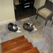 slate tiles